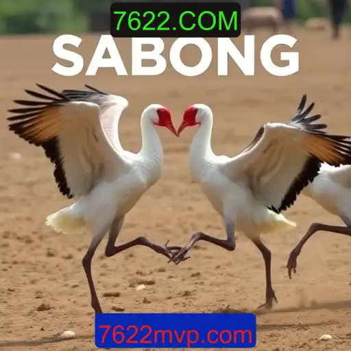 Jogos de Sabong e a Plataforma Online 7622.COM